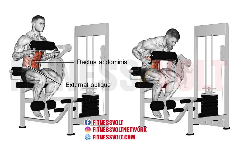 Machine Seated Crunch Abdominals Fitness Volt