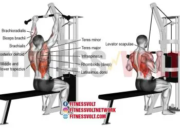 Medium-Grip Lat Pull-down: Build Your Upper Back Strength