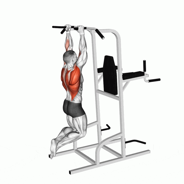 Crossbody Hammer Curl Strengthen Your Biceps and Forearms Fitness Volt