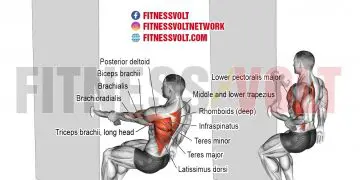 One-arm Towel Row: Build Back Strength & Sculpt Muscles