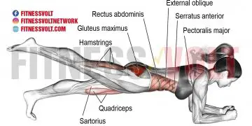 One-Leg Front Plank: Strengthen Your Core and Stabilize