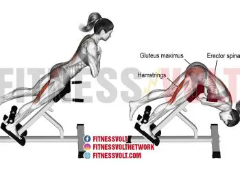 One-Leg Hyperextension: Sculpt Your Glutes and Strengthen Back