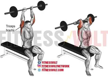 Overhead Barbell Tricep Extension: Master Your Arm Strength