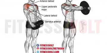 Plate Front Raise: Strengthen Shoulders & Core Muscles!