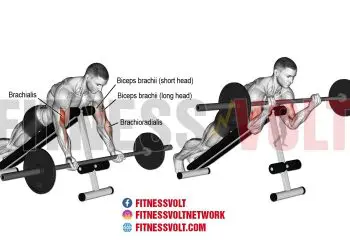 Prone Incline Barbell Curl: Build Strong Biceps & Arms