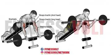 Prone Incline Barbell Curl: Build Strong Biceps & Arms