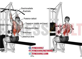 Transform Your Back: Reverse-Grip Lat Pull-Down Guide