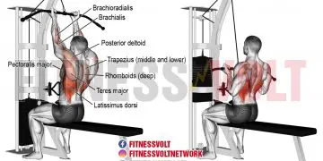 Transform Your Back: Reverse-Grip Lat Pull-Down Guide