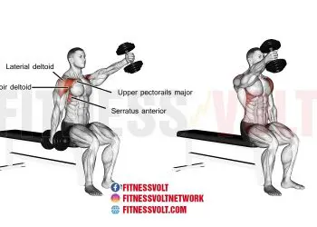 Seated Alternating Dumbbell Front Raise for Shoulder Strength