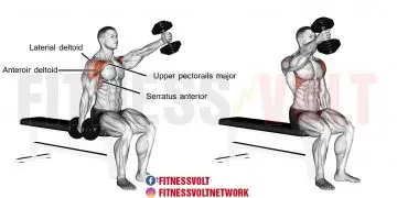 Seated Alternating Dumbbell Front Raise for Shoulder Strength