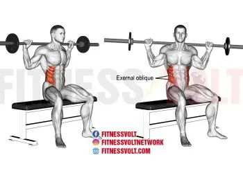 Seated Barbell Twist: Strengthen Your Core & Obliques