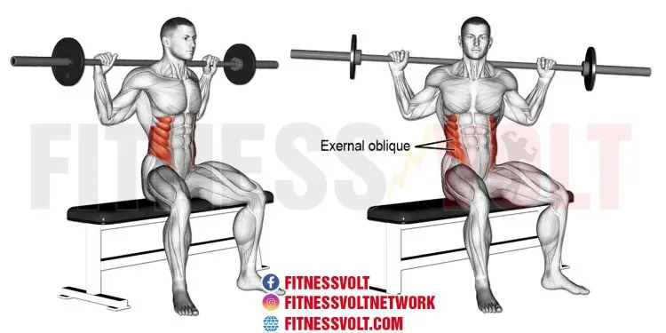 Seated Barbell Twist: Strengthen Your Core & Obliques