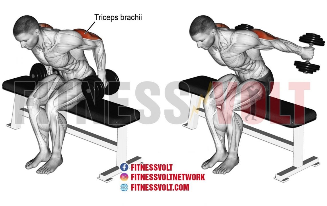 Seated Bent-over Two-arm Dumbbell Kickback (Triceps) | Exercise Guides and Videos