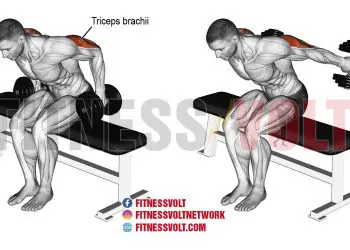 Seated Bent-over Two-arm Dumbbell Kickback: Maximize Triceps Development