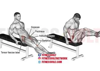 Seated Knee Raise: Strengthen Your Core and Hip Flexors