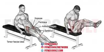 Seated Knee Raise: Strengthen Your Core and Hip Flexors