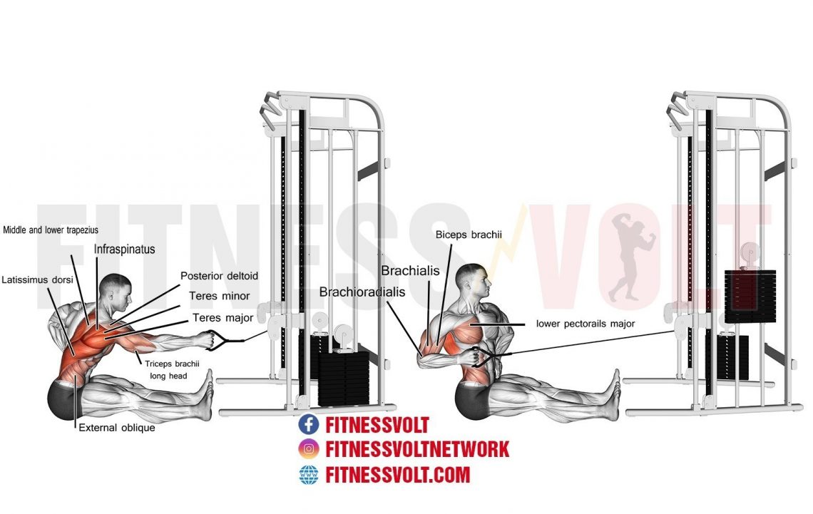 Seated Twisting Cable Row (Back) | Exercise Guides and Videos – Fitness ...