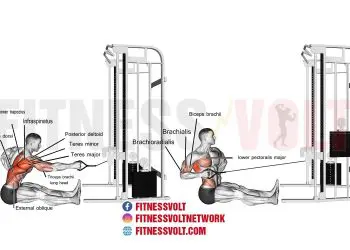 Seated Twisting Cable Row: Target Your Back & Core Muscles
