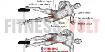 Side Plank Hip Adduction: Strengthen Your Glutes and Core