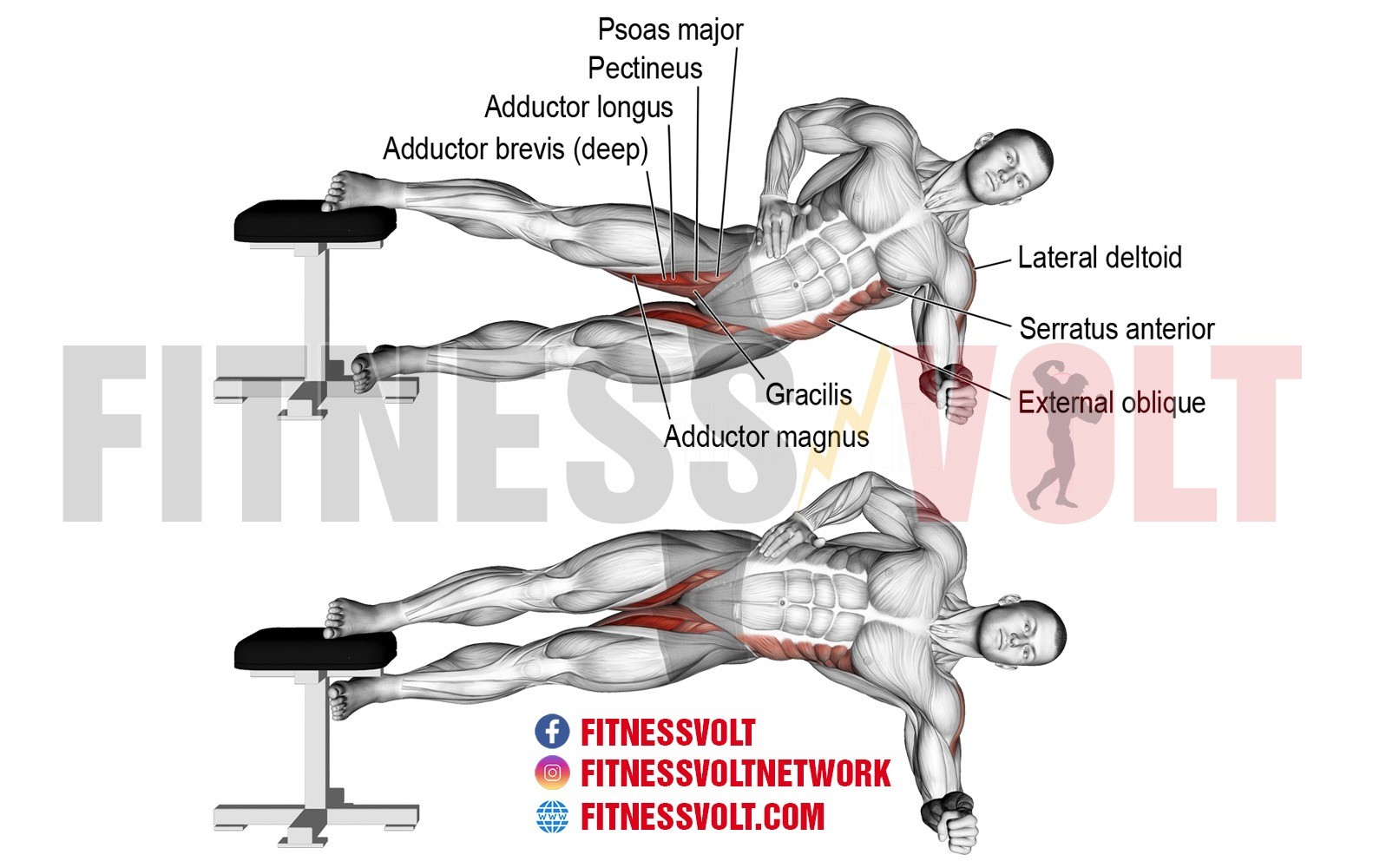 Side Plank Hip Adduction (Hip Adductors) – Fitness Volt