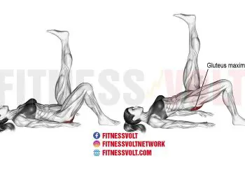 Single-leg glute bridge