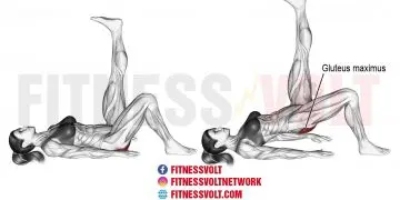 Single-leg glute bridge