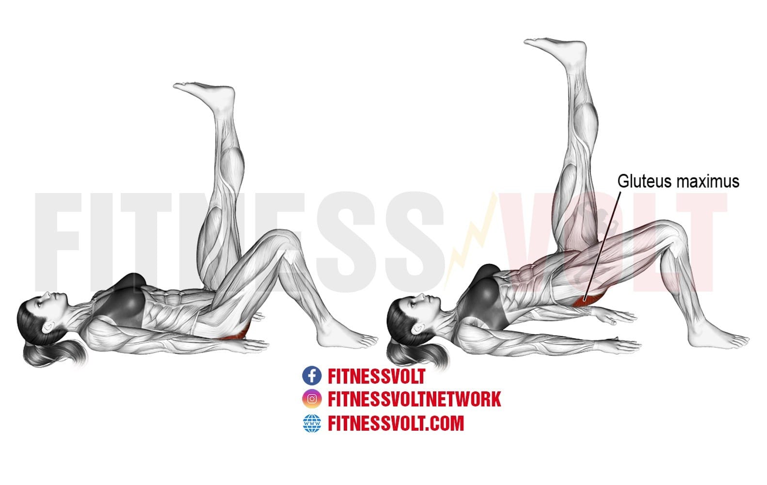 One Leg Bridge 76 Single Leg Glute Bridge Royalty Free Images Stock