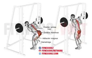 Smith Machine Good Morning