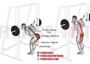 Smith Machine Good Morning