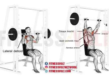 Seated Smith machine overhead press