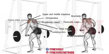 Smith Machine Underhand Yates Row: Build Your Back Muscles