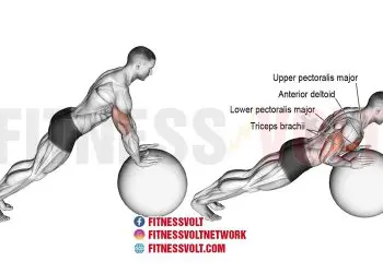 Stability Ball Push-Up: Strengthen Chest & Core Muscles