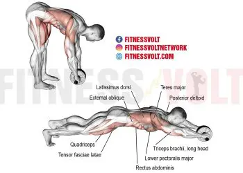 Maximize Core Strength: Standing Ab Wheel Rollout Benefits