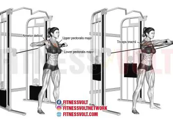 Standing Cable Chest Press