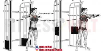 Standing Cable Chest Press