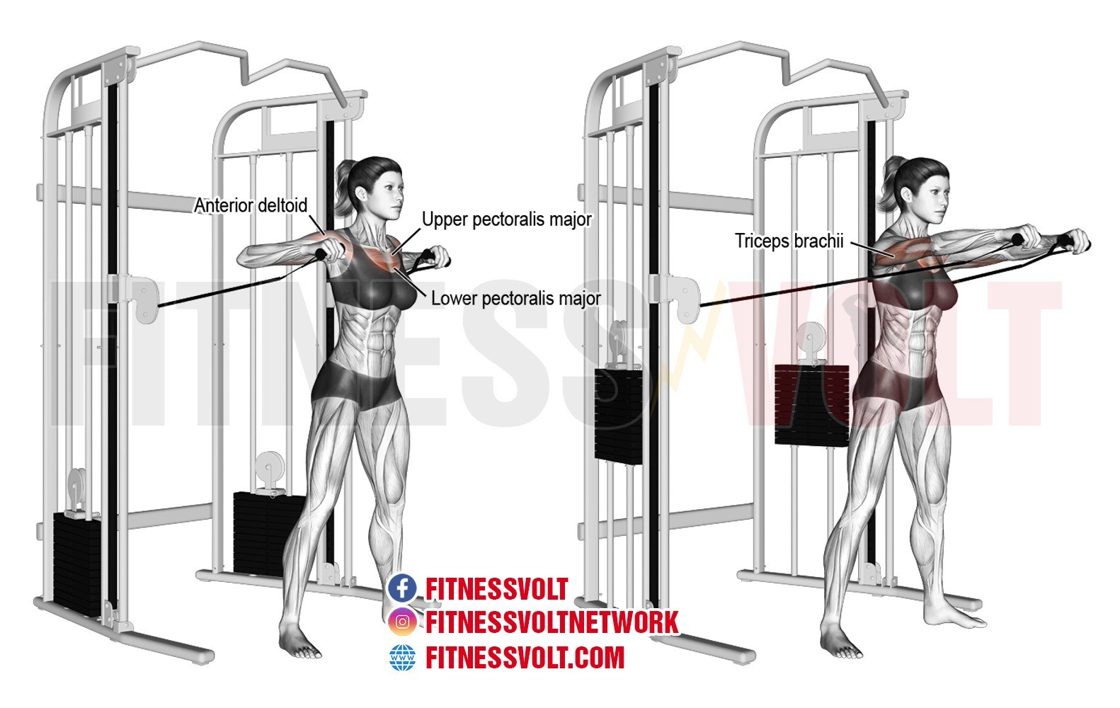 Cable Chest Press Target Your Pecs Delts And Triceps Efficiently 