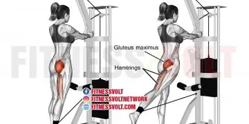 Standing cable hip extension