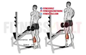 Standing Dumbbell One Leg Calf Raise