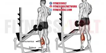 Standing Dumbbell One Leg Calf Raise