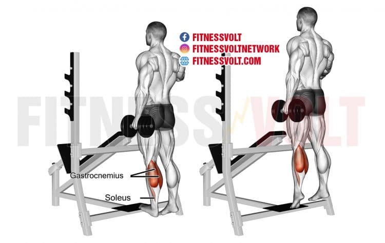 How To Do Standing Dumbbell One Leg Calf Raises Tips Benefits How To Do Standing Dumbbell One Leg Calf Raises Tips Benefits