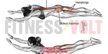 Superman Exercise: Strengthen Core, Glutes, and Back Muscles