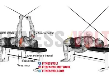 Supine Cable Reverse Fly: Sculpt Your Posterior Deltoids and Upper Back