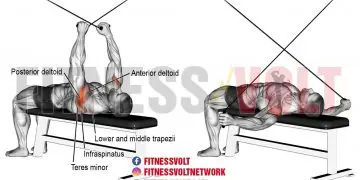 Supine Cable Reverse Fly: Sculpt Your Posterior Deltoids and Upper Back