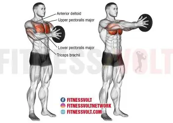 Svend Press: Target Your Deltoids and Pecs Effectively!