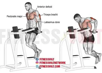 Master Tricep Dips: Build Stronger Triceps & Shoulders Fast!