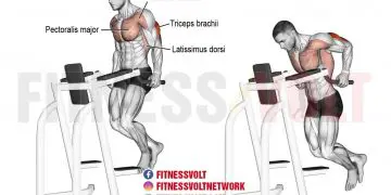 Master Tricep Dips: Build Stronger Triceps & Shoulders Fast!