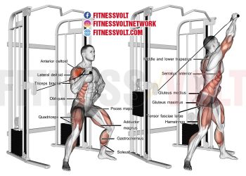 Twisting Cable Overhead Press: Tone Deltoids & Core Strength