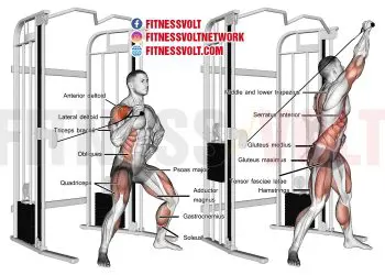 Twisting Cable Overhead Press: Tone Deltoids & Core Strength