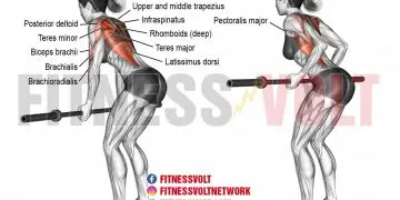 Underhand Yates Row: Target Your Lats and Deltoids Effectively