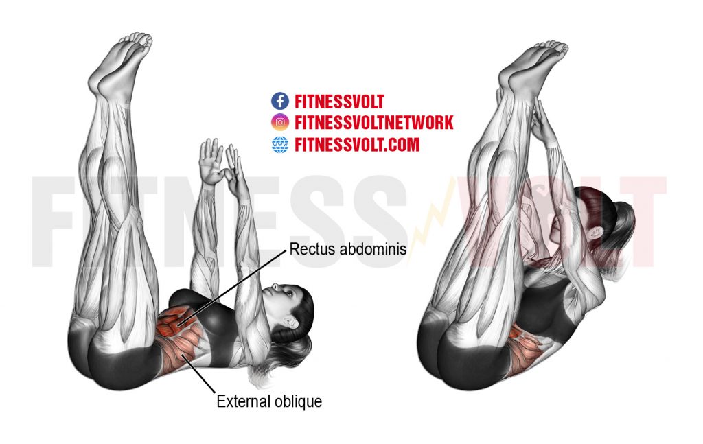 Vertical Leg Crunch Abdominals Fitness Volt